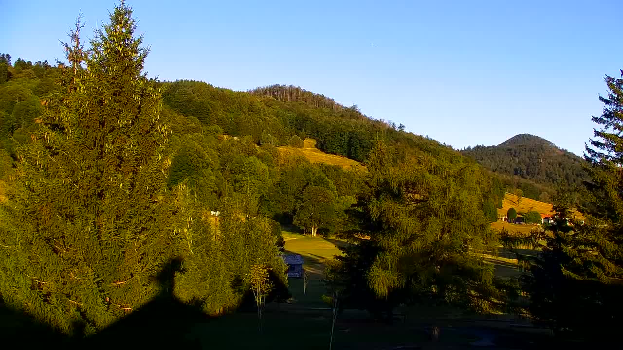 Webcam Loqua / Lokve – La bellezza della selva di Tarnova