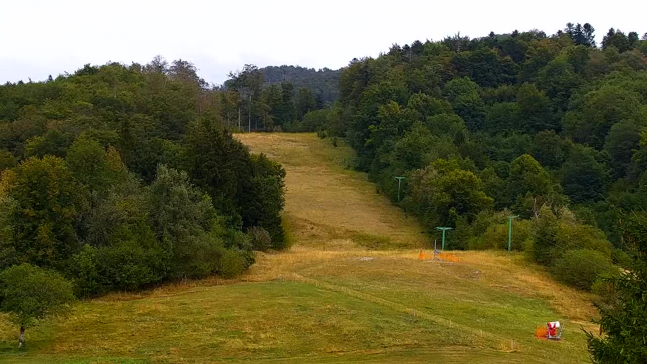 Webcam Lokve – La beauté de la forêt de Trnovo