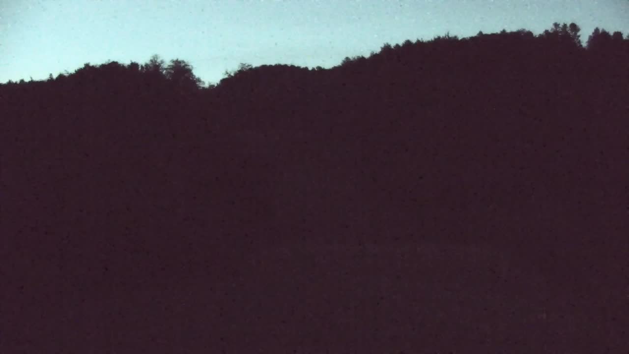 Webcam Lokve – The beauty of the Trnovo forest