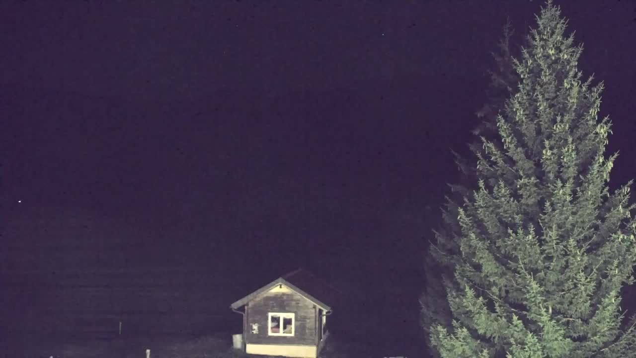 Webcam Loqua / Lokve – La bellezza della selva di Tarnova