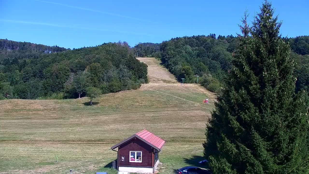 Webcam Loqua / Lokve – La bellezza della selva di Tarnova