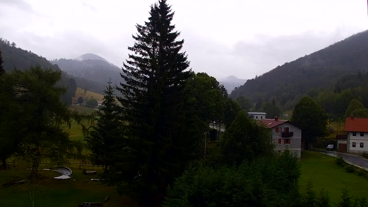 Webcam Lokve – The beauty of the Trnovo forest
