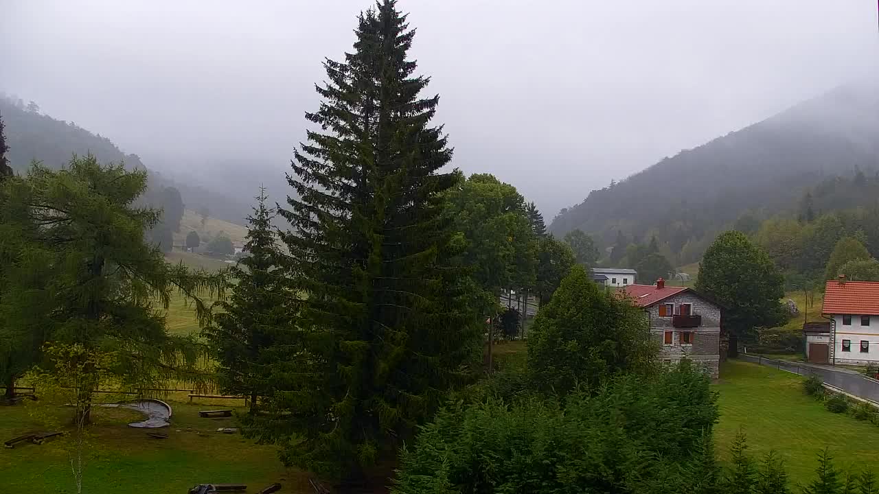 Webcam Loqua / Lokve – La bellezza della selva di Tarnova