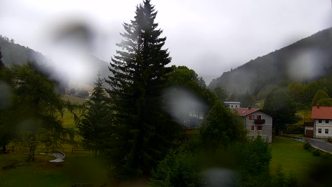 Webcam Lokve – Die Schönheit des Trnovo-Waldes