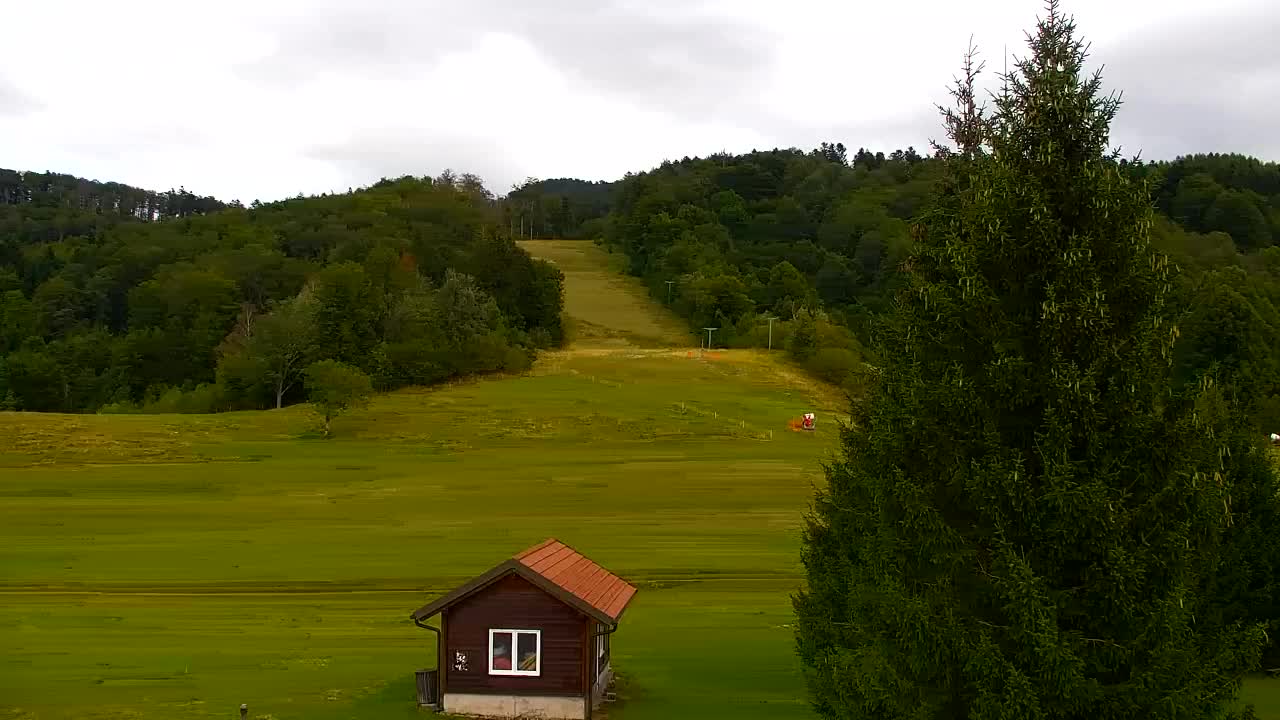 Webcam Lokve – The beauty of the Trnovo forest
