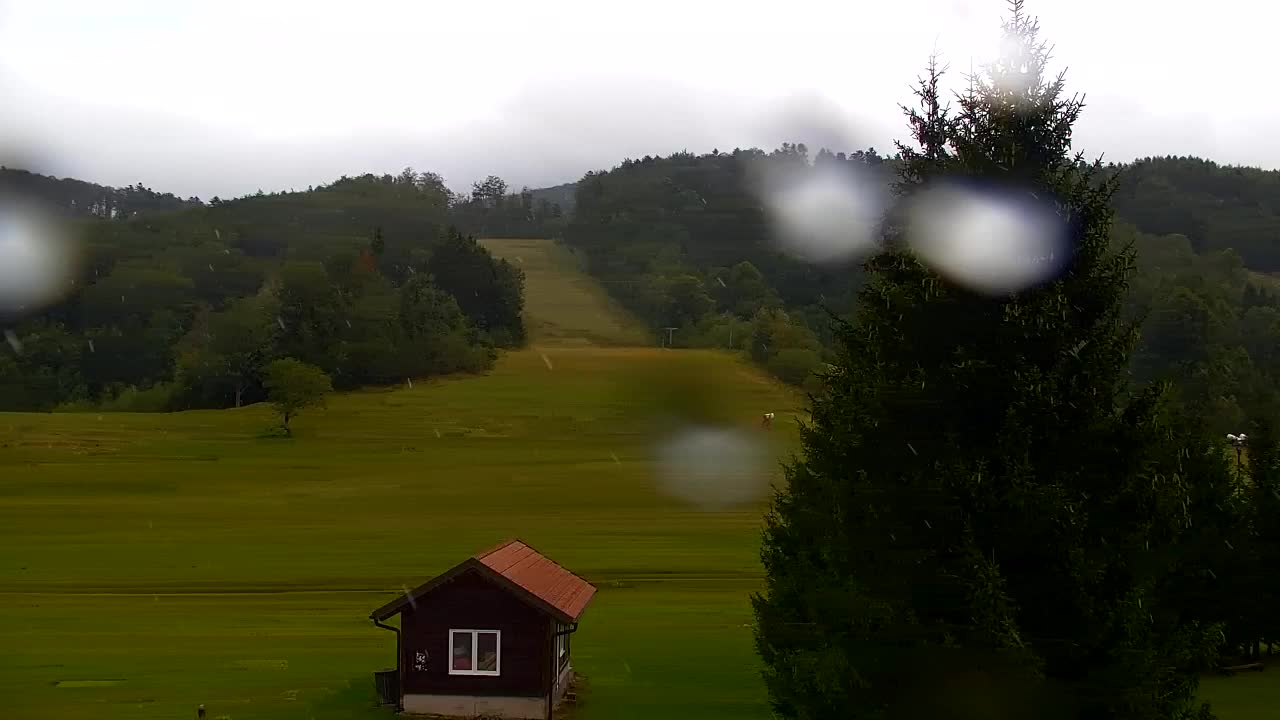 Webcam Lokve – The beauty of the Trnovo forest