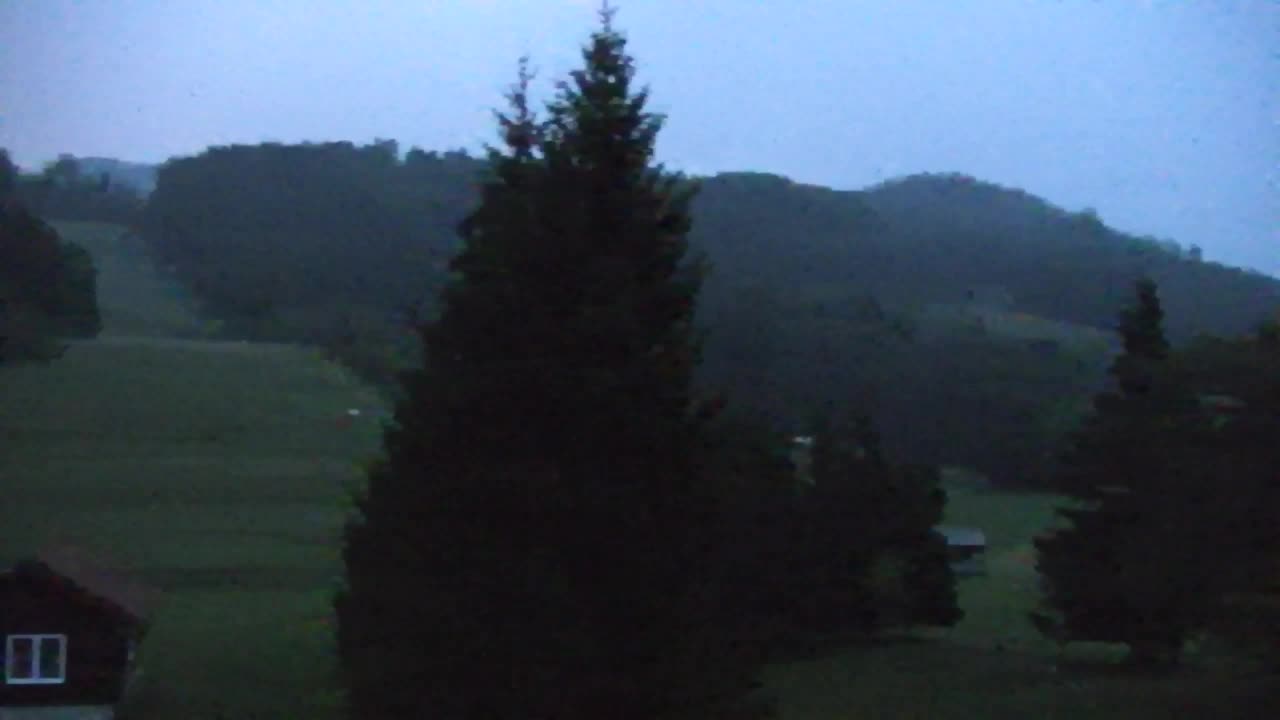 Webcam Lokve – La beauté de la forêt de Trnovo
