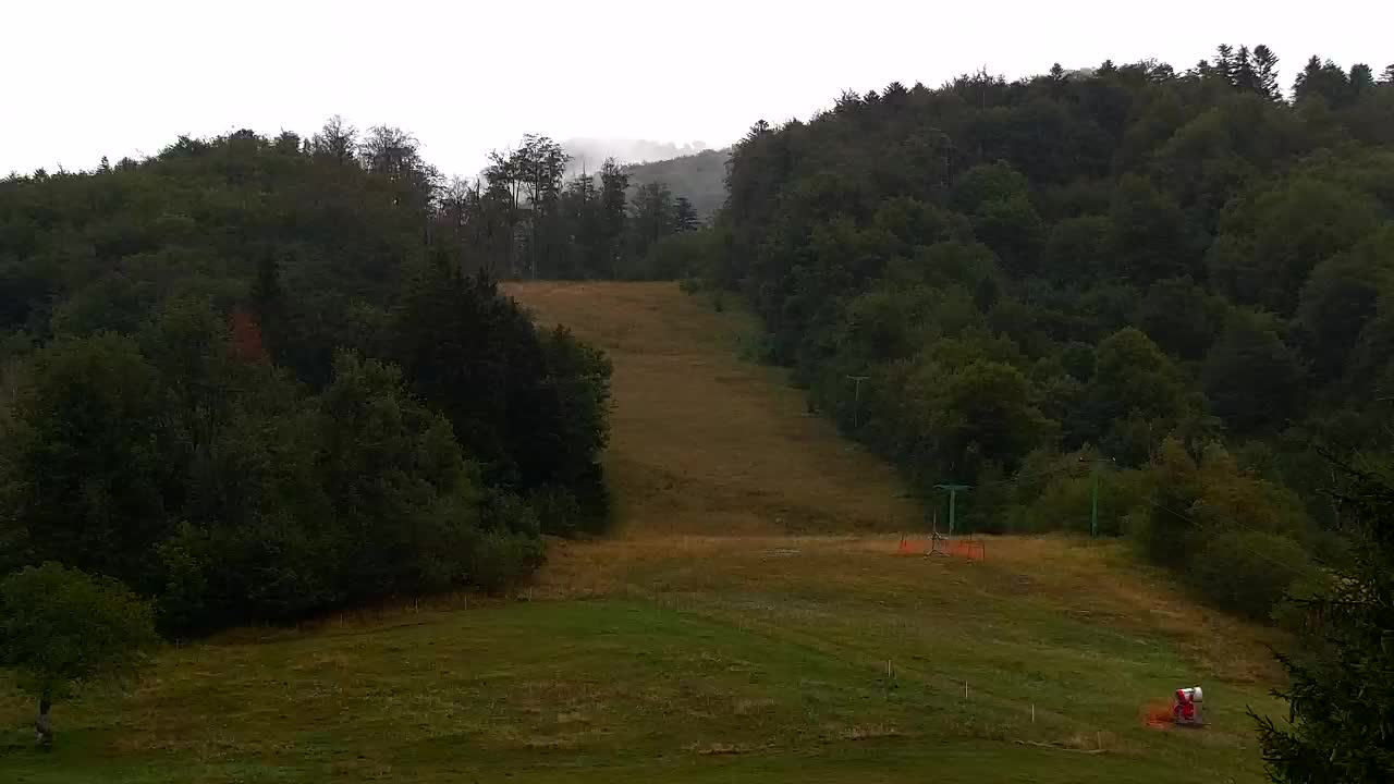 Webcam Loqua / Lokve – La bellezza della selva di Tarnova