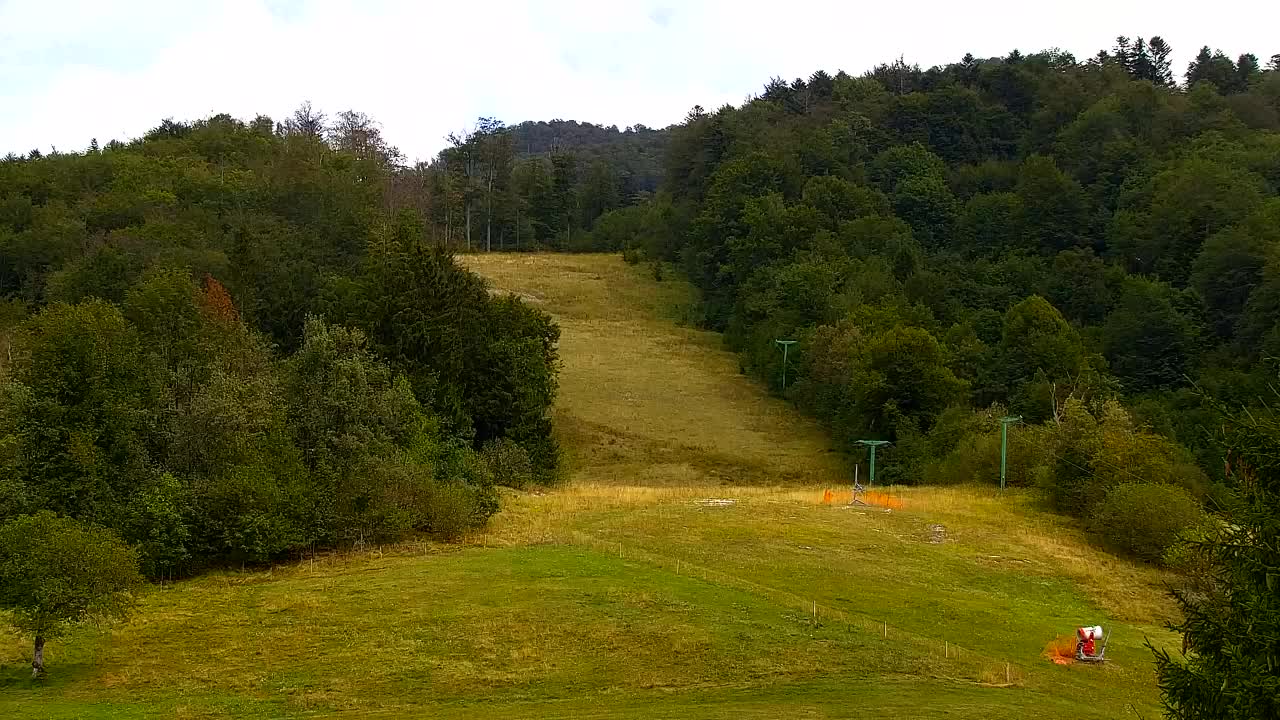 Webcam Lokve – The beauty of the Trnovo forest