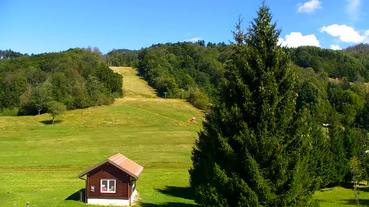 Webcam Lokve – Die Schönheit des Trnovo-Waldes