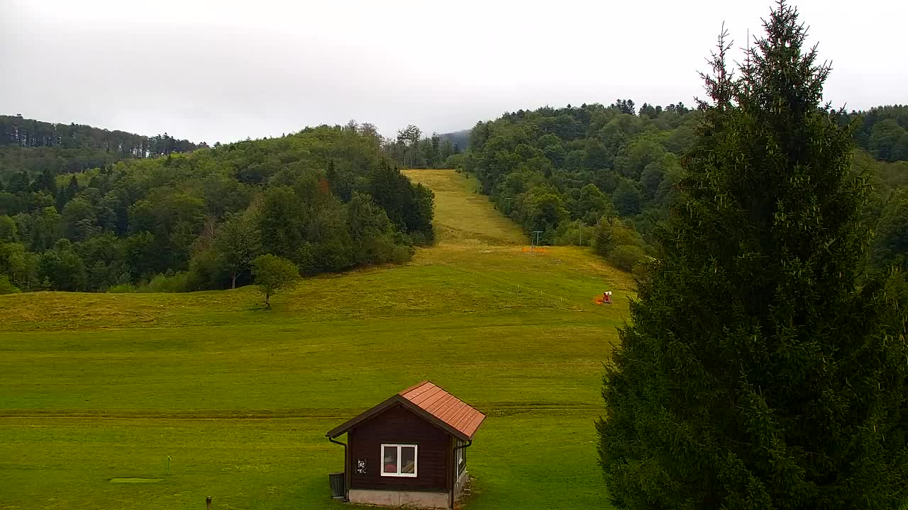 Webcam Lokve – The beauty of the Trnovo forest