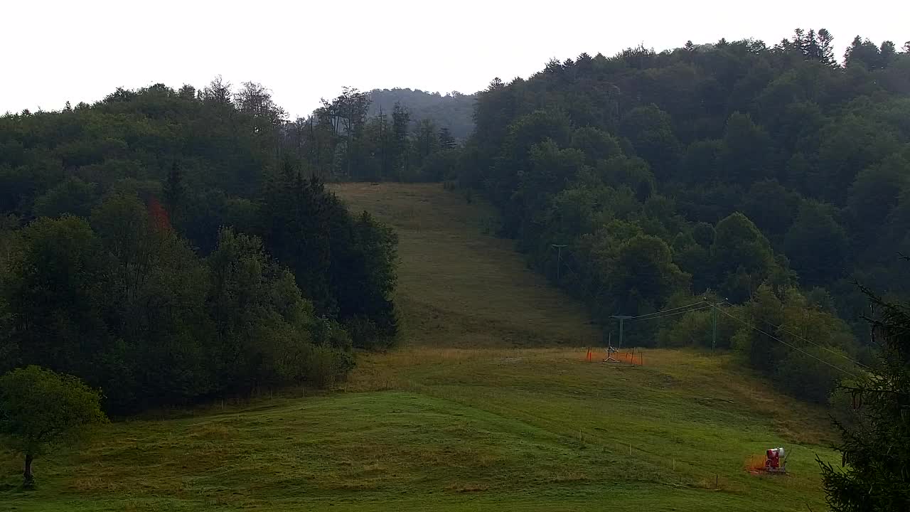 Webcam Loqua / Lokve – La bellezza della selva di Tarnova