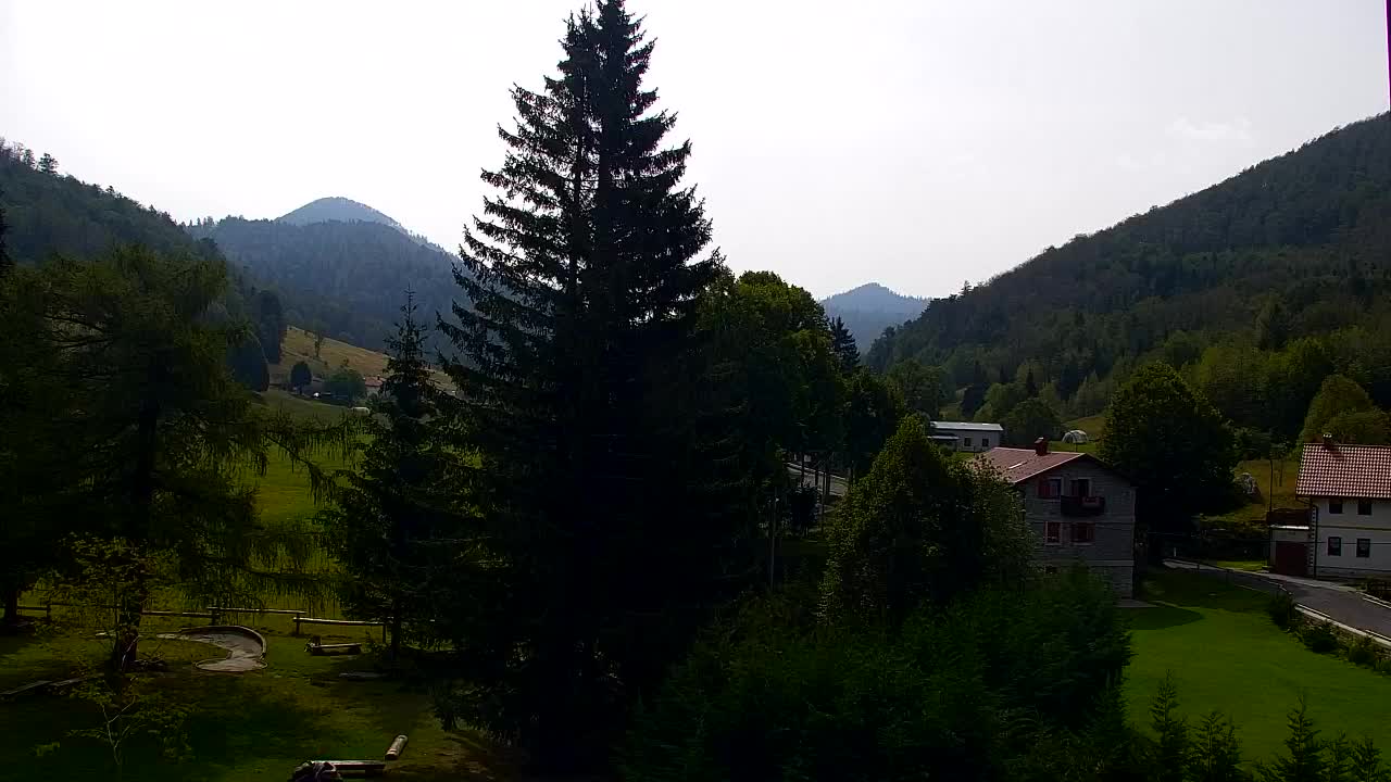 Webcam Loqua / Lokve – La bellezza della selva di Tarnova