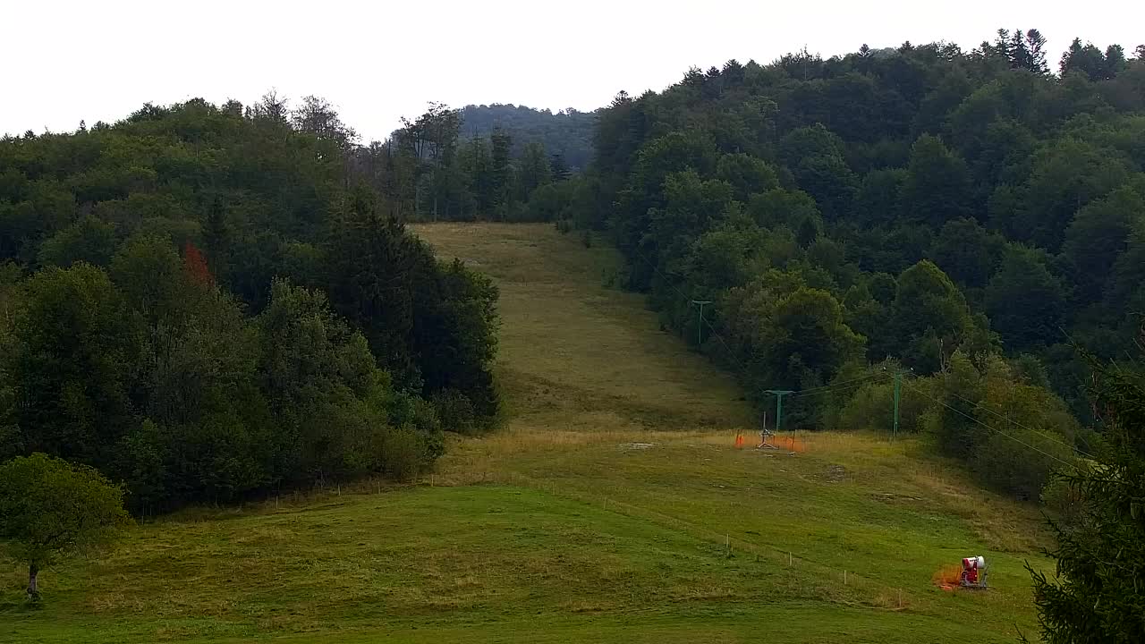 Webcam Loqua / Lokve – La bellezza della selva di Tarnova