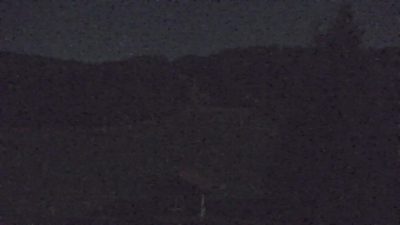 Webcam Lokve – The beauty of the Trnovo forest