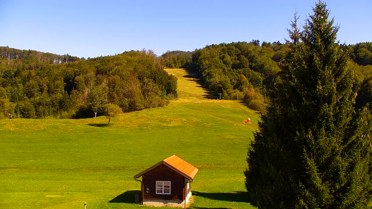 Webcam Lokve – The beauty of the Trnovo forest