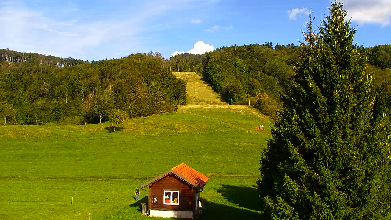 Webcam Loqua / Lokve – La bellezza della selva di Tarnova