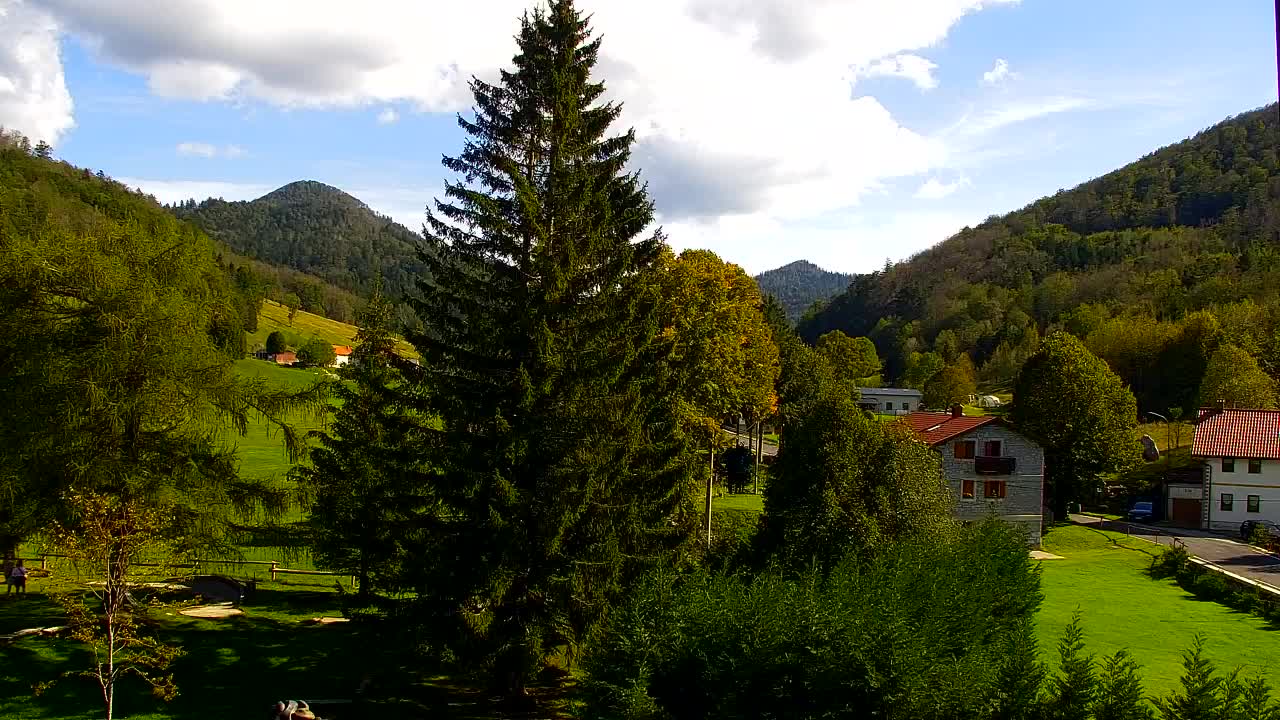 Webcam Lokve – The beauty of the Trnovo forest