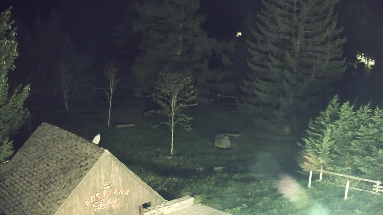 Camera en vivo Lokve – La belleza del bosque de Trnovo