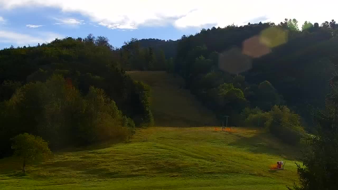 Webcam Loqua / Lokve – La bellezza della selva di Tarnova