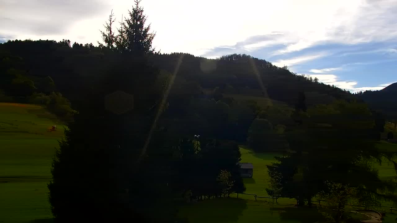 Webcam Loqua / Lokve – La bellezza della selva di Tarnova