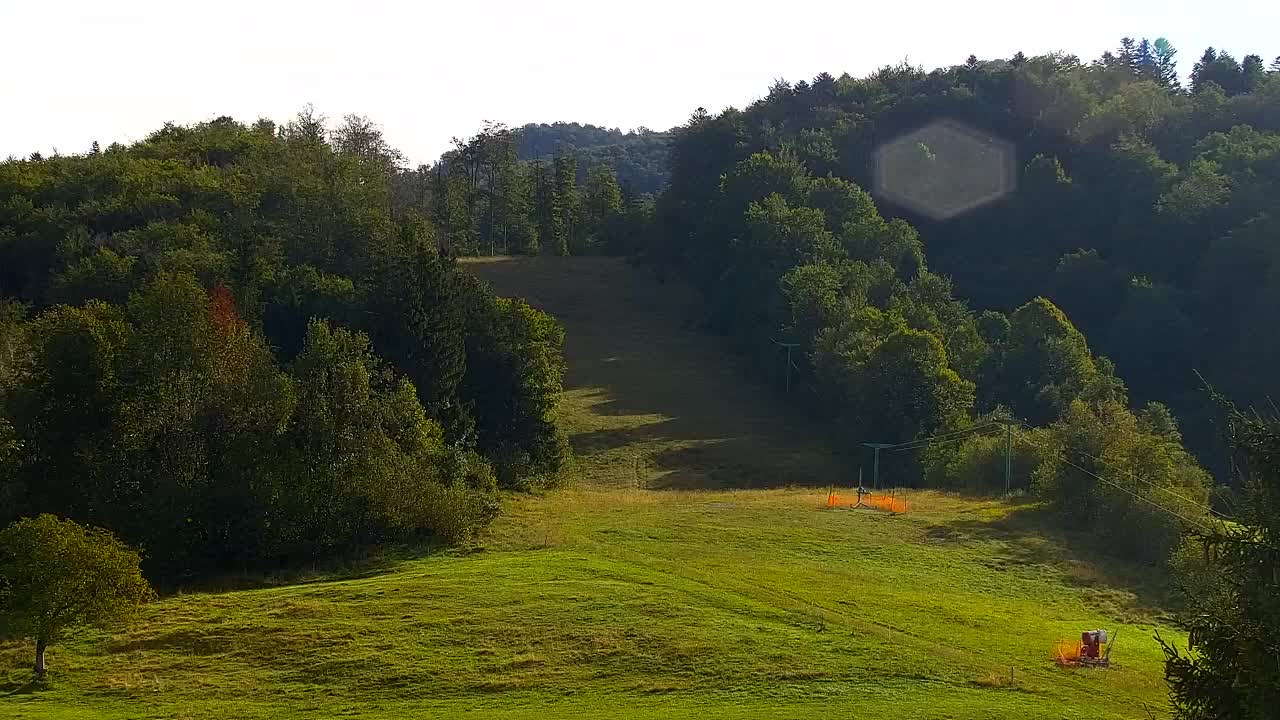 Webcam Loqua / Lokve – La bellezza della selva di Tarnova