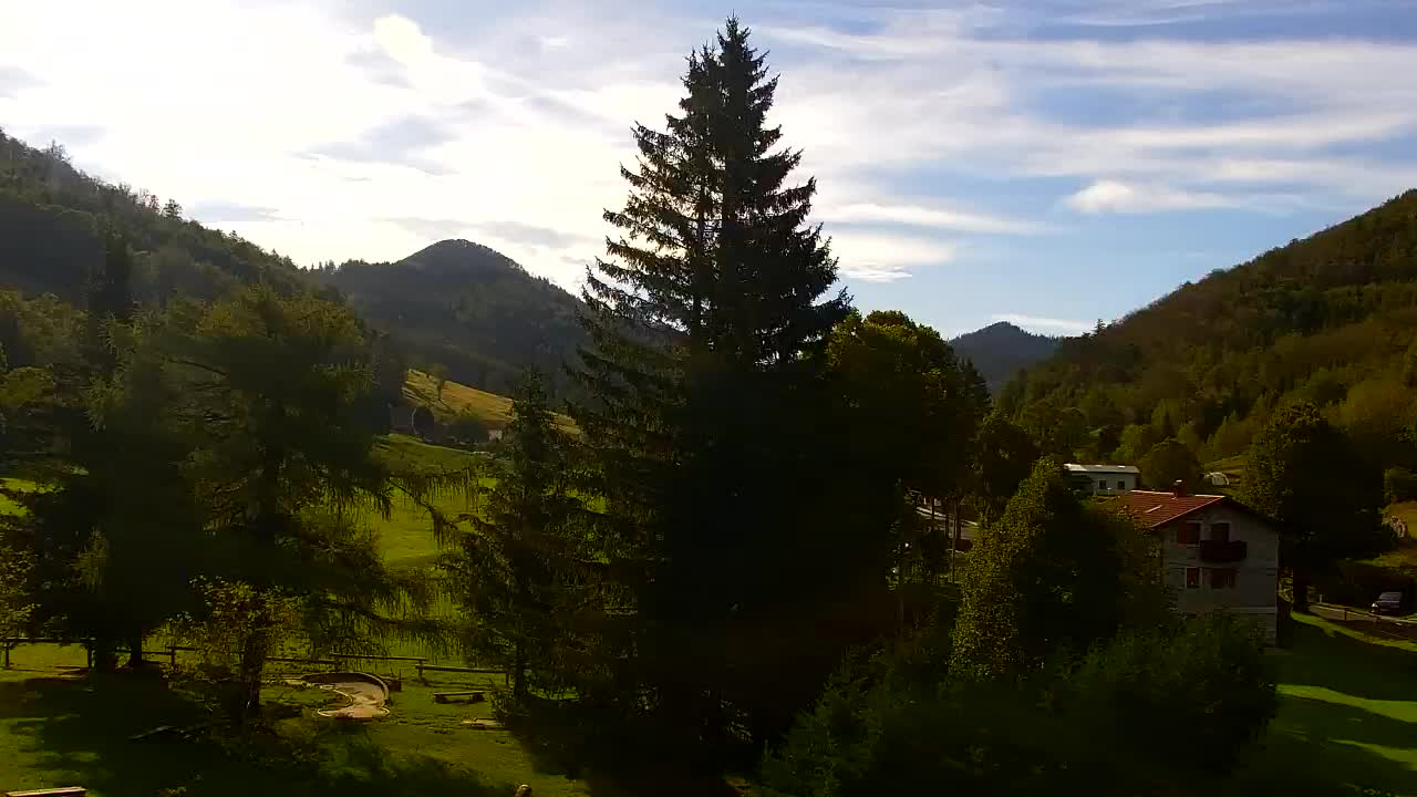 Webcam Loqua / Lokve – La bellezza della selva di Tarnova