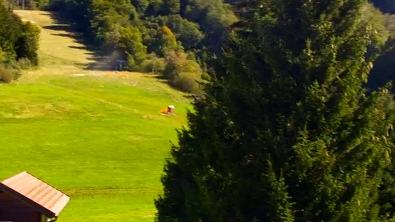 Webcam Lokve – The beauty of the Trnovo forest
