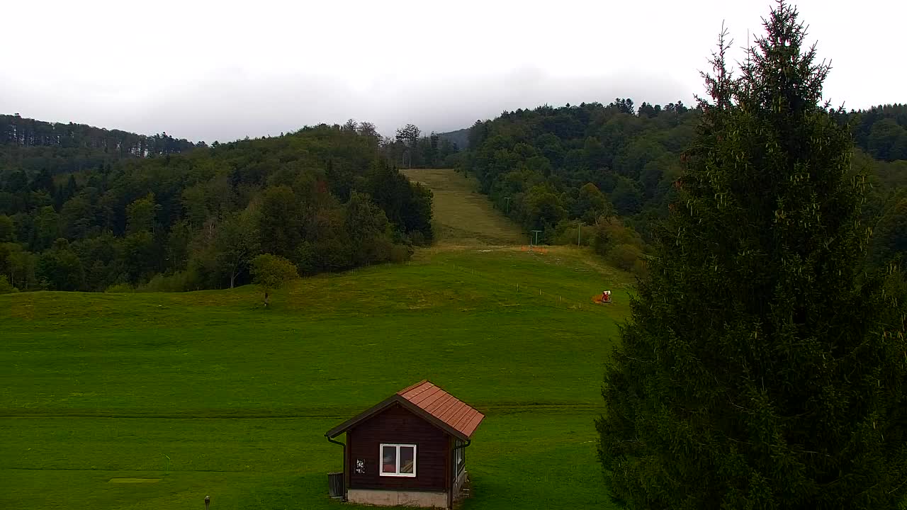 Webcam Lokve – The beauty of the Trnovo forest