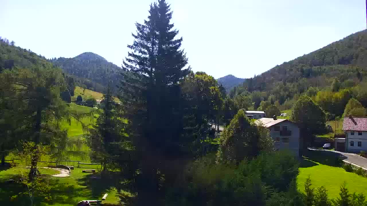 Webcam Loqua / Lokve – La bellezza della selva di Tarnova