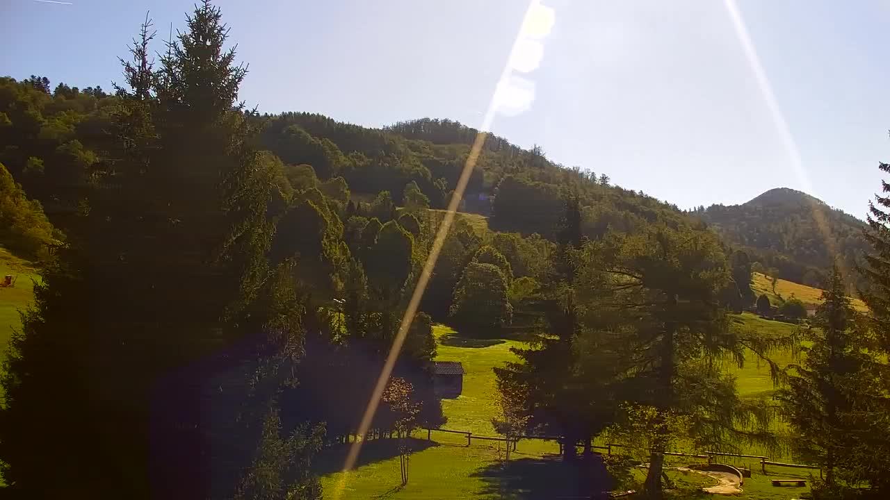 Webcam Lokve – The beauty of the Trnovo forest