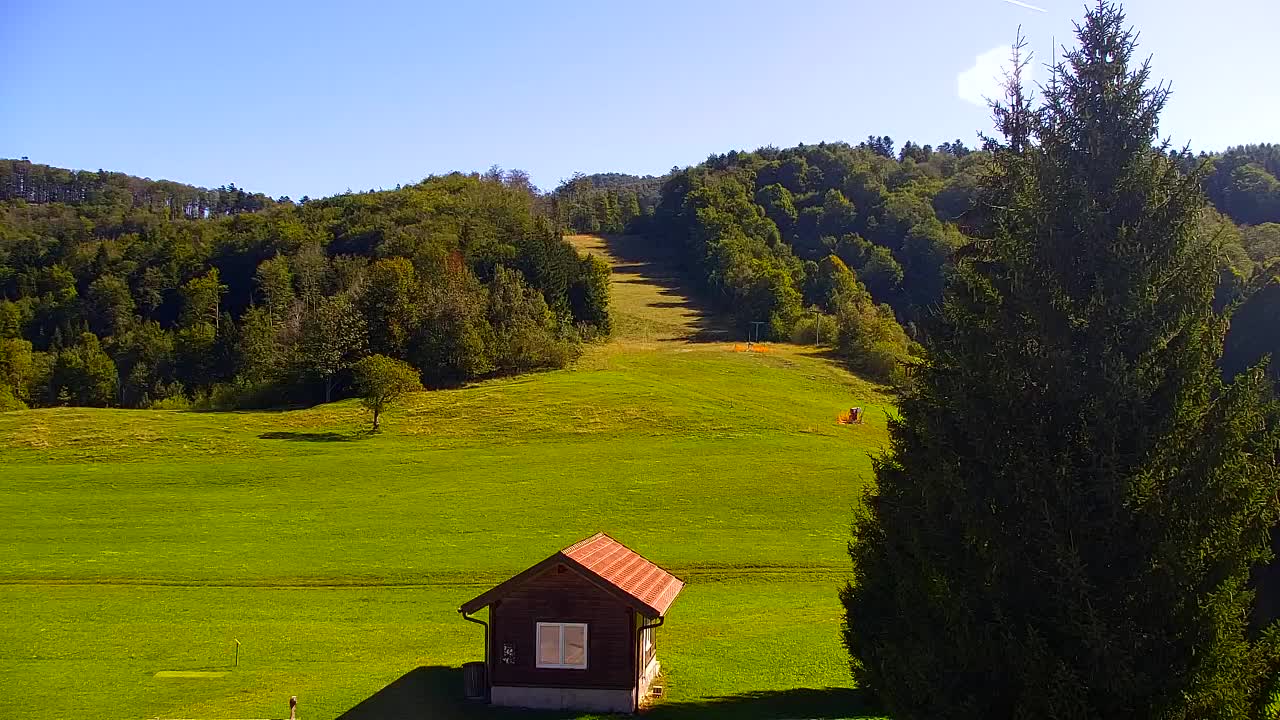 Webcam Loqua / Lokve – La bellezza della selva di Tarnova