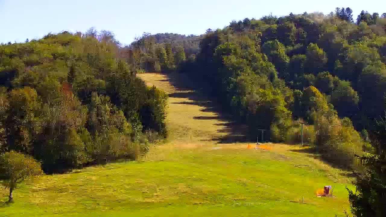 Webcam Loqua / Lokve – La bellezza della selva di Tarnova