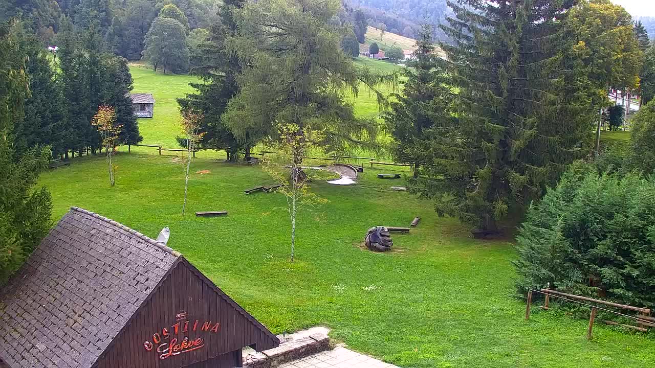 Webcam Loqua / Lokve – La bellezza della selva di Tarnova