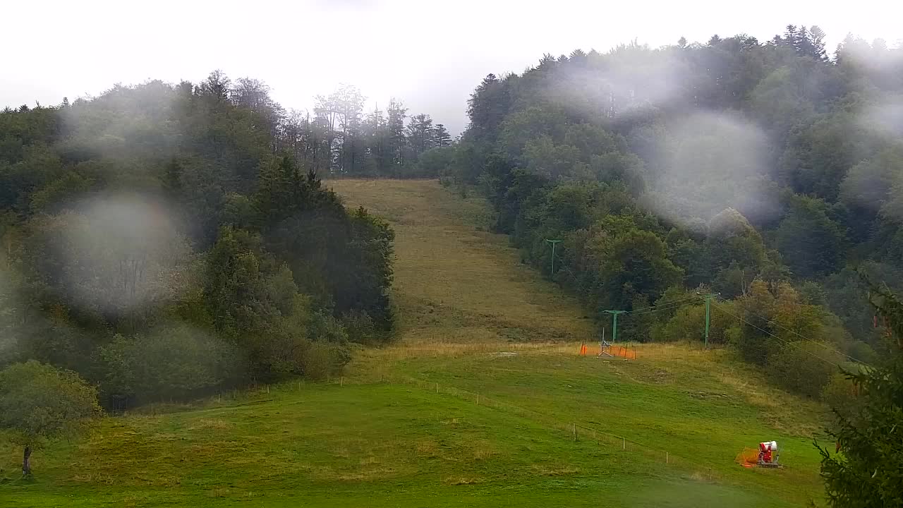 Webcam Loqua / Lokve – La bellezza della selva di Tarnova