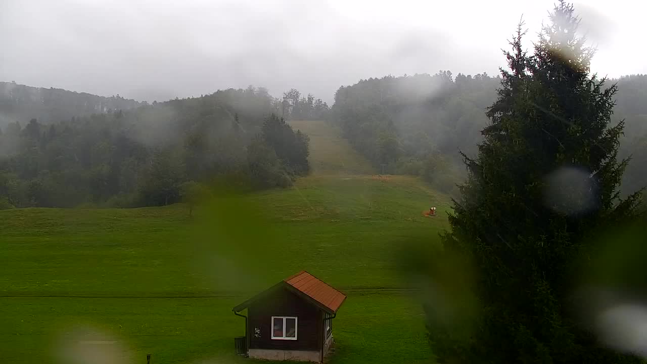 Webcam Lokve – Die Schönheit des Trnovo-Waldes