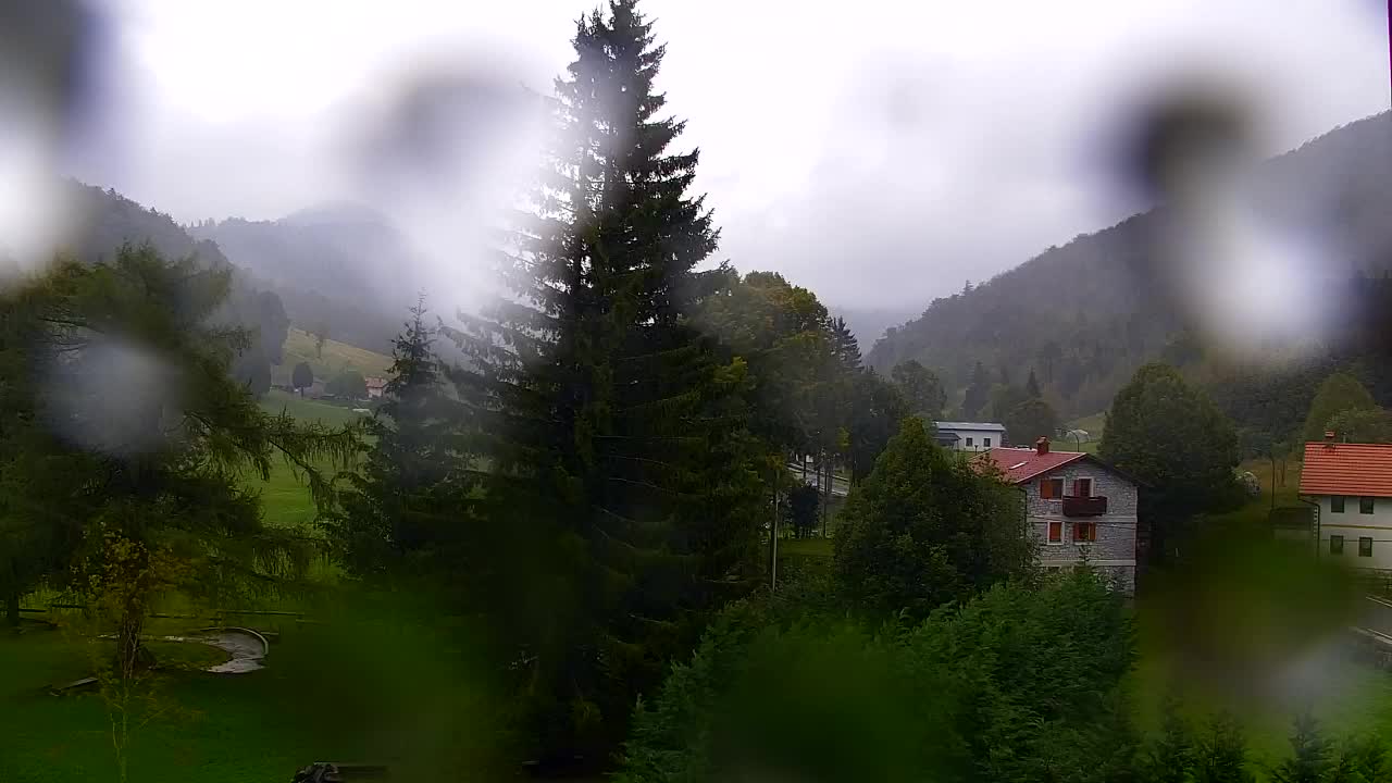 Webcam Lokve – The beauty of the Trnovo forest