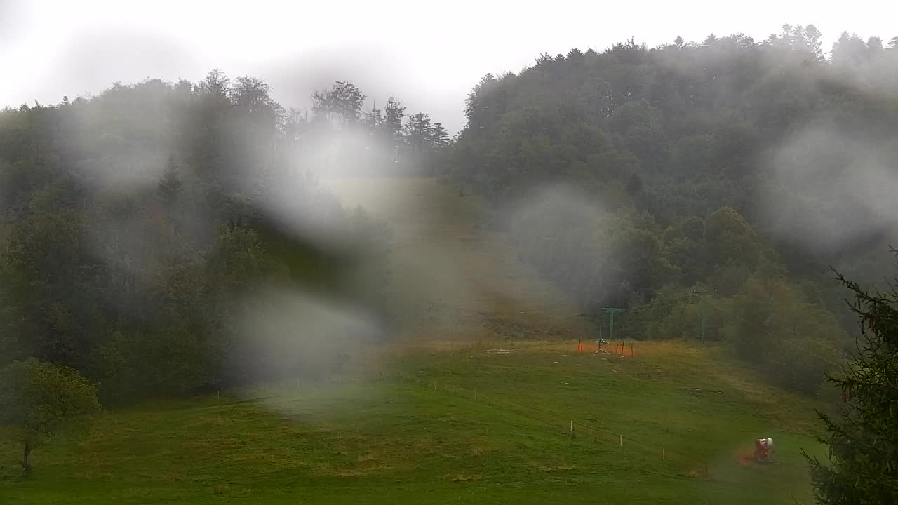 Webcam Lokve – The beauty of the Trnovo forest