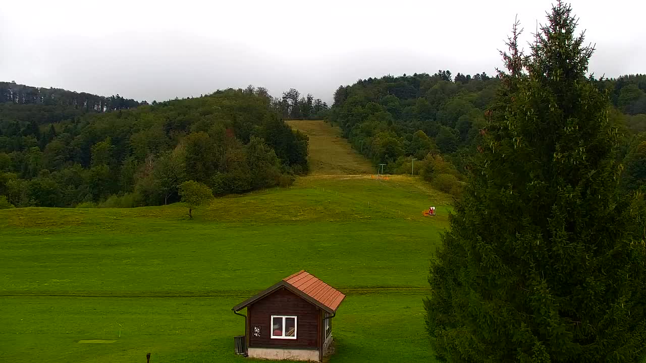 Webcam Lokve – La beauté de la forêt de Trnovo