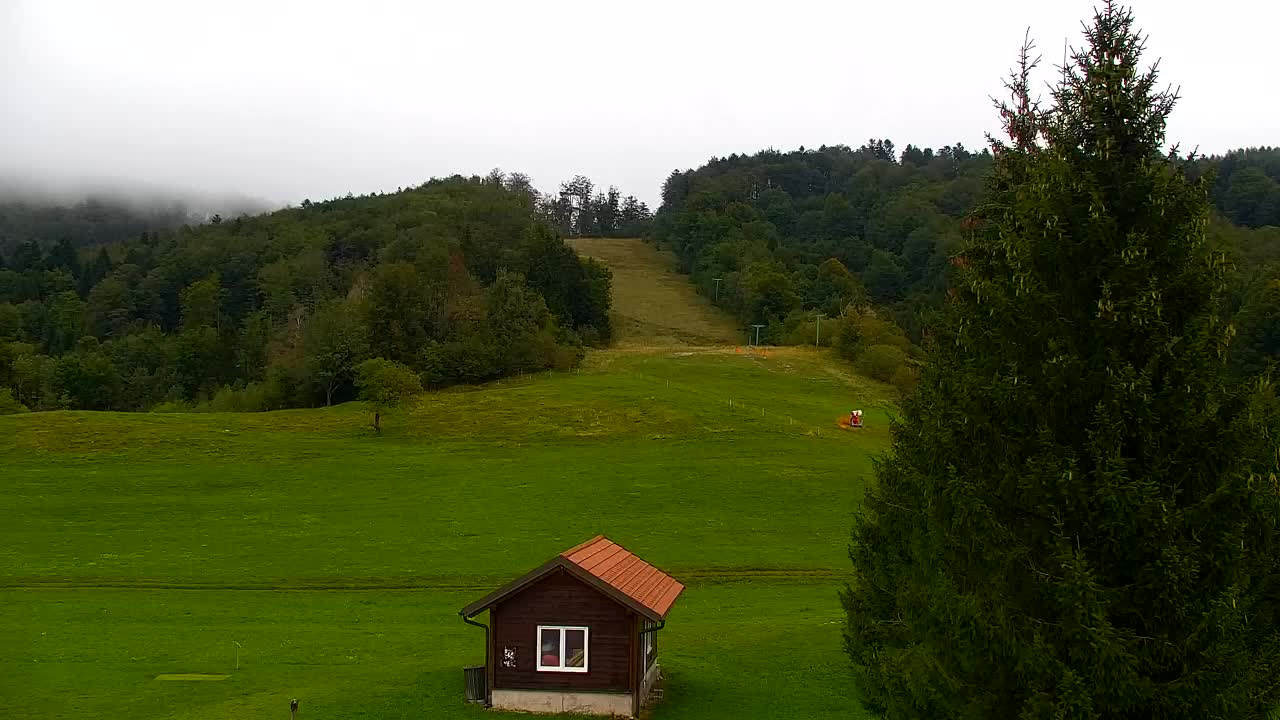 Webcam Lokve – The beauty of the Trnovo forest