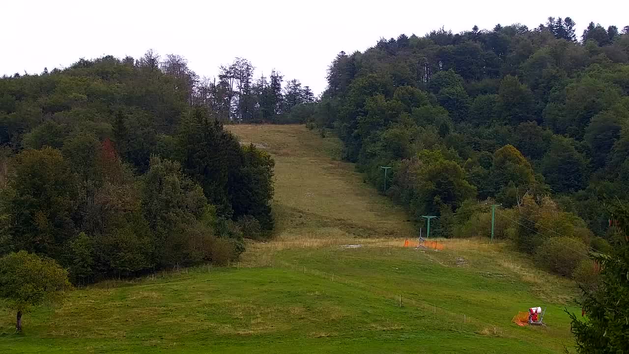 Web kamera Lokve – Ljepota Trnovske šume