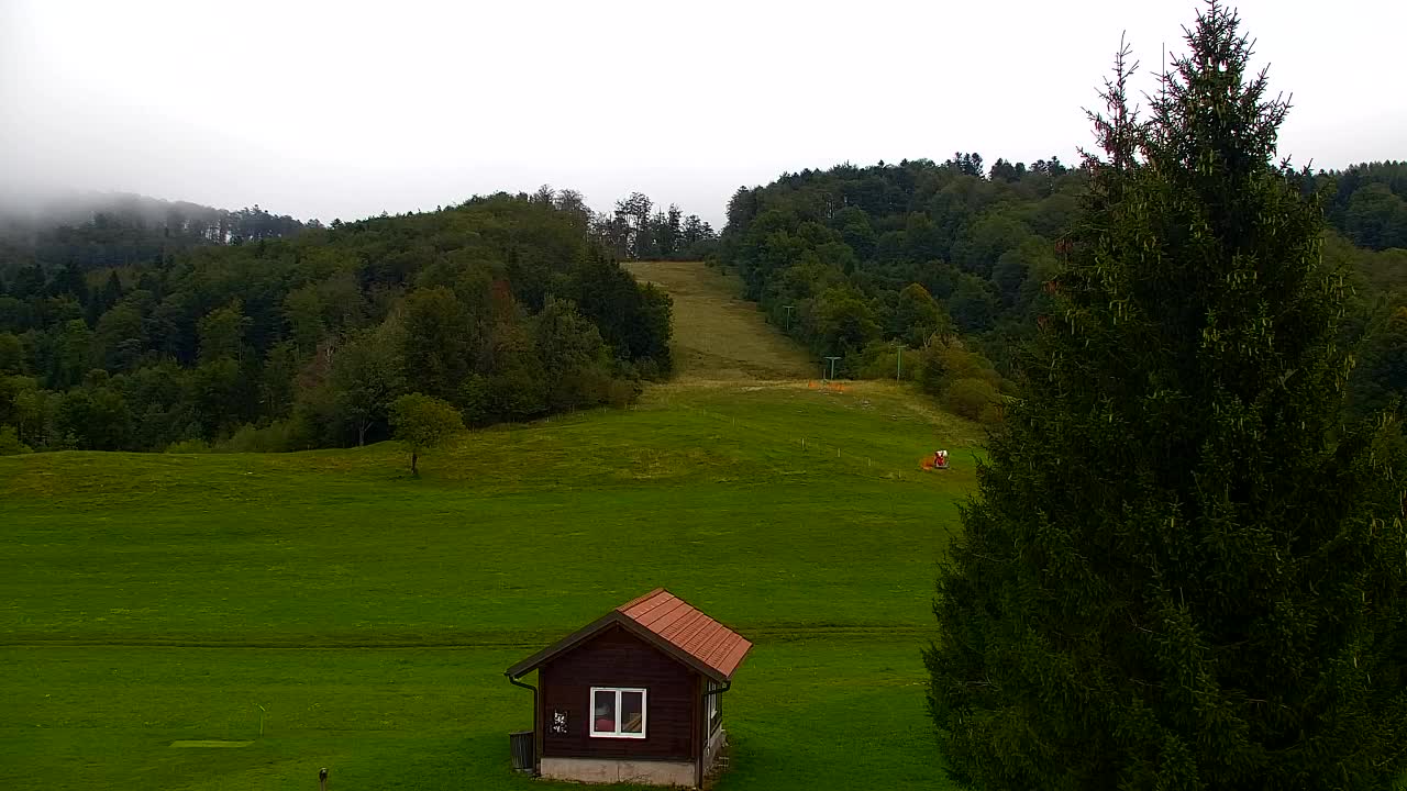 Webcam Lokve – The beauty of the Trnovo forest