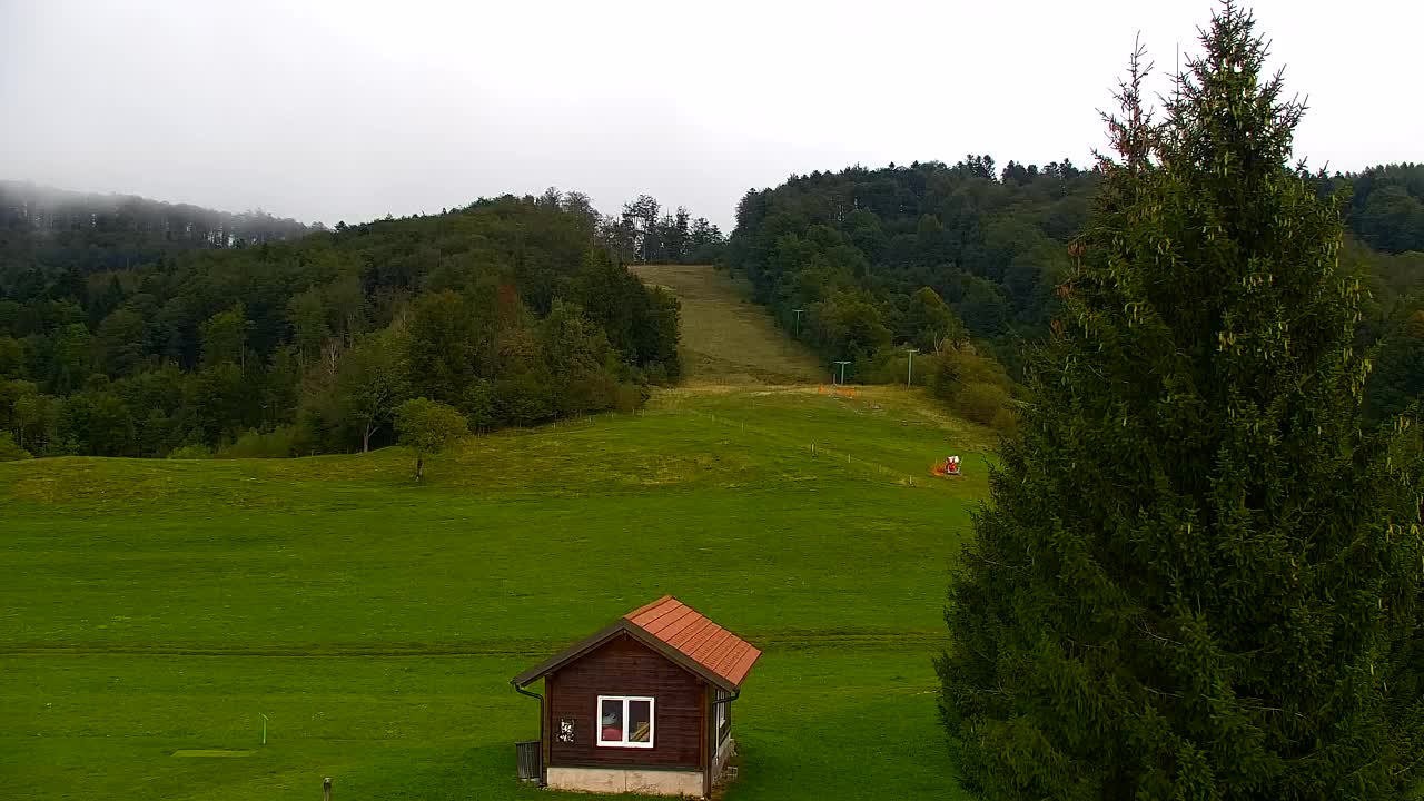 Webcam Lokve – La beauté de la forêt de Trnovo