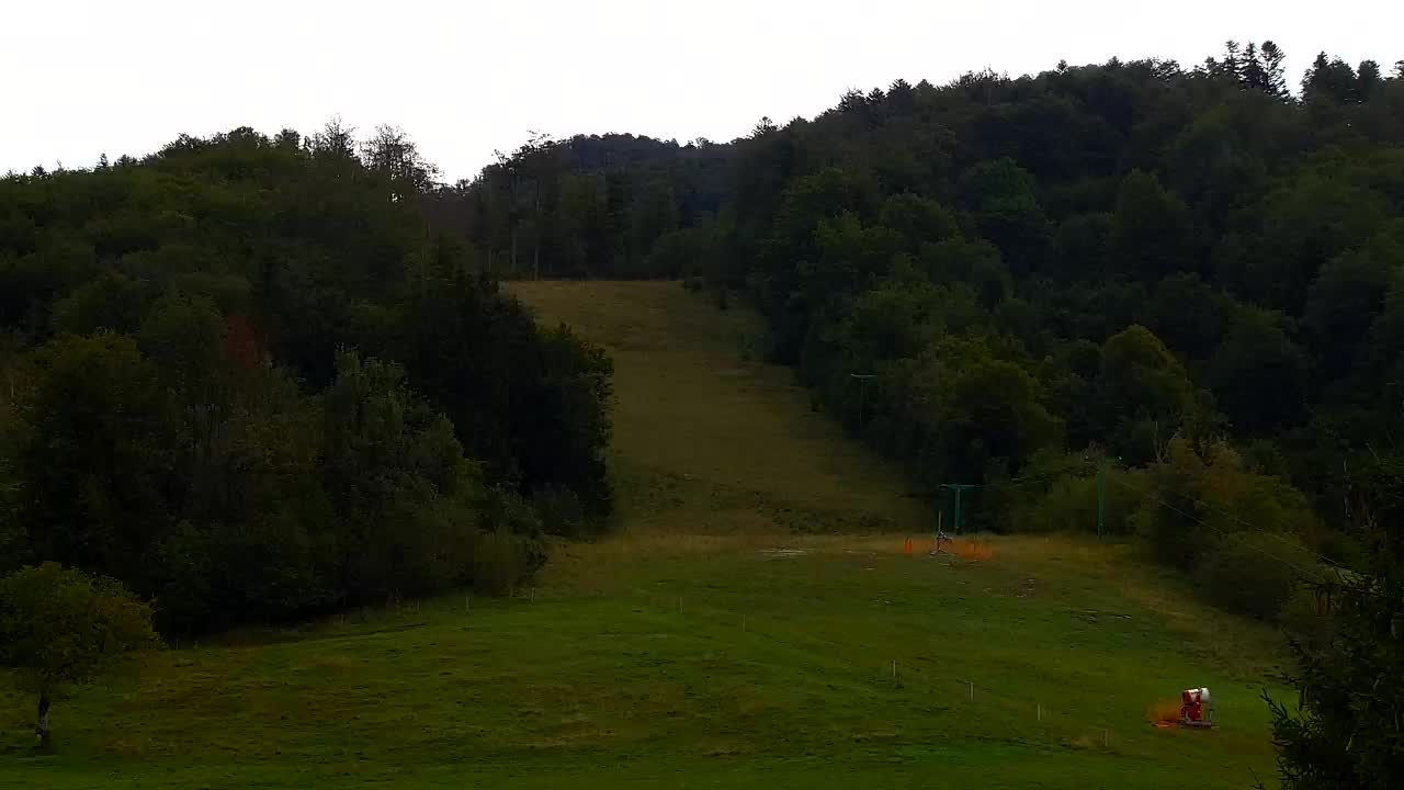Webcam Lokve – The beauty of the Trnovo forest