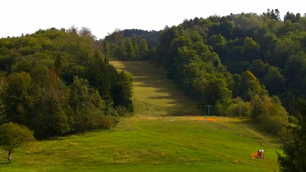 Webcam Lokve – The beauty of the Trnovo forest