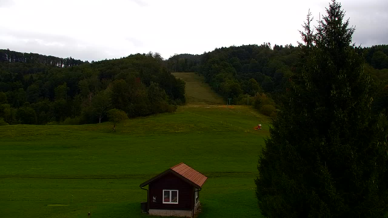 Webcam Lokve – The beauty of the Trnovo forest