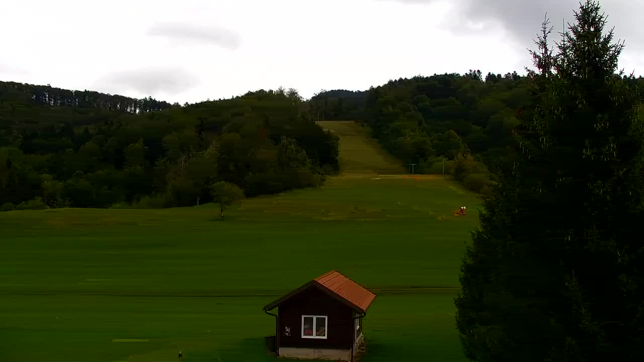 Webcam Lokve – The beauty of the Trnovo forest