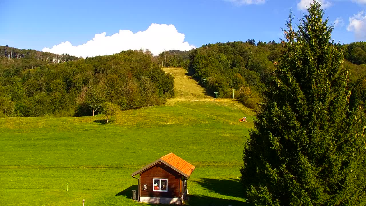 Webcam Lokve – The beauty of the Trnovo forest