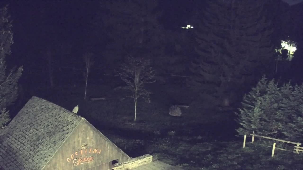 Webcam Lokve – La beauté de la forêt de Trnovo