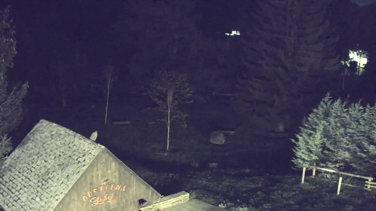 Webcam Lokve – Die Schönheit des Trnovo-Waldes